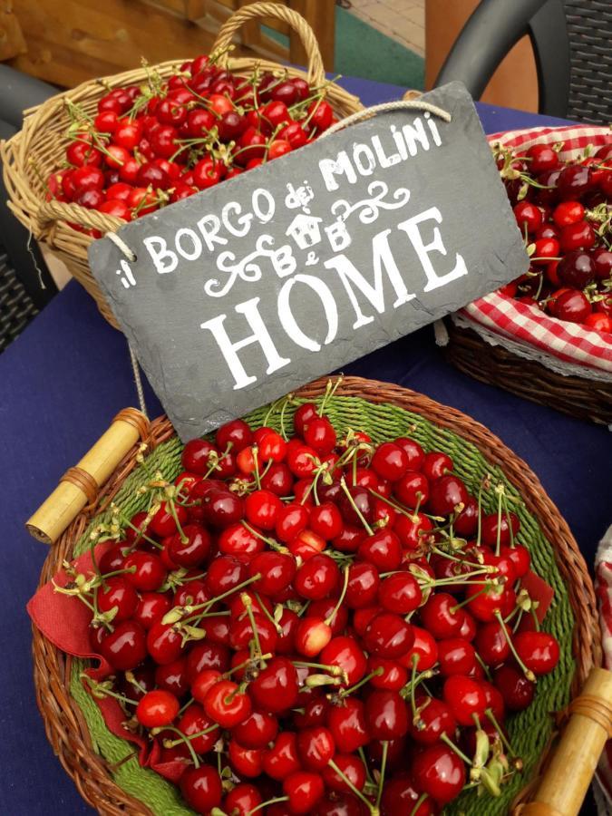 Il Borgo Dei Molini Bed and Breakfast Torreglia Εξωτερικό φωτογραφία